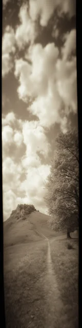 Free aesthetic bookmark featuring gray sepia outdoors